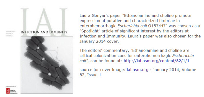 L. Gonyar's image of ecoli as chosen as cover image for one issue of "Infection and Immunity"