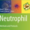 neutrophil journal cover 2020