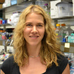 Melissa Kendall, PhD