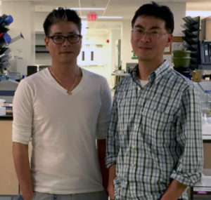 Kwon Park, PhD and postdoc from his lab