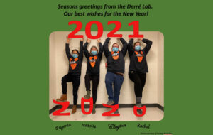 New Year's greetings from Derre lab
