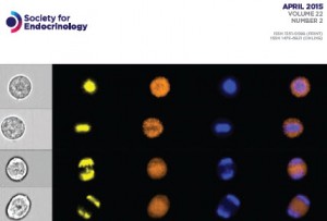 front cover of journal "Society for Endocrinology"
