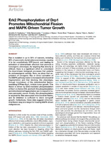 1st page of research article: Kashatus, Nascimento, et al. Molecular Cell